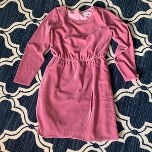 Jcrew velvet dress